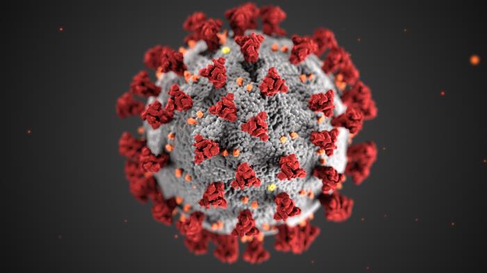 Image credit: Severe Acute Respiratory Syndrome coronavirus 2 (SARS-CoV-2) by Alissa Eckert and Dan Higgins (both with CDC) License: Public domain